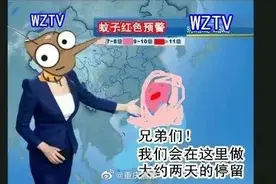 2020全国蚊子预报地图出炉，重庆的蚊子最猖狂？图片