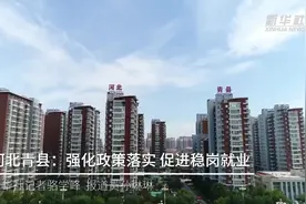 河北青县：强化政策落实 促进稳岗就业视频封面