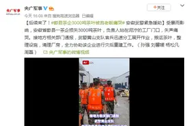 后续来了！歙县茶企3000吨茶叶被泡老板痛哭 安徽武警紧急援助图片