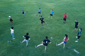 椰子树下，夏日夜跑火起来图片