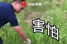 消防员放生长蛇后吓到大喊妈妈呀 网友直呼：真是可爱又心疼图片