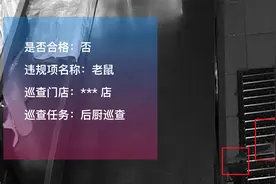 人工智能正在参与管理餐厅门店与后厨，还能帮忙捉老鼠图片