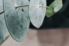 夜读 | 人生最大的遗憾，是对家人的亏欠图片