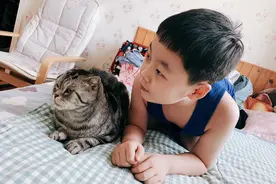 无需办证饲养方便 宠物猫越来越受衡水市民欢迎图片