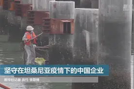 坚守在坦桑尼亚疫情下的中国企业视频封面