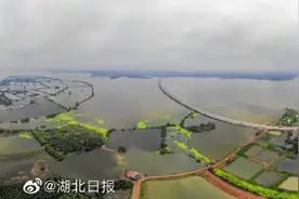 湖北松滋7人防汛打牌被问责图片