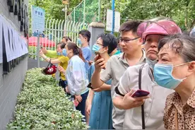 报名4631人，计划202人，摇中玄外家长直呼“没想到”图片