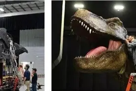 又一世界级文旅项目落户成都，《侏罗纪世界电影特展》中国首展来了图片