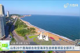山东29个渤海综合攻坚海洋生态修复项目全部开工，今年年底前完工视频封面