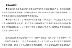 近22亿大手笔！高瓴资本将获健康元8%股份，其他多笔投资数月浮盈超42亿图片