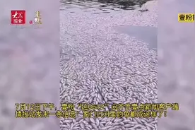 震惊！徒骇河莘县段漂起大量死鱼，已持续多日图片