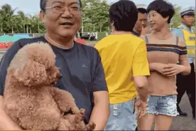 你走，我不送你；你来，我大风大雨也要去接图片