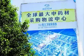 记者赴“中华药都”安徽亳州探访 新冠疫情“带火”养生中药材图片