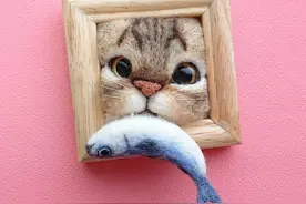 装在画框里的猫咪：可爱还是惊悚？图片