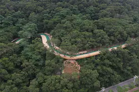 惊艳！福清“山体公园步道”开挂！步步都是打卡点图片