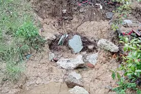 连续降雨 合肥匡河堤岸被冲出深沟图片