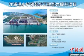 海南自贸港先行区洋浦10个重点项目集中开工图片