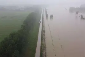 全网被这只脚刷屏，近10万人点赞，网友：看着太心疼图片