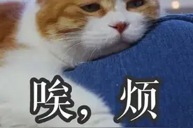 家里存放1000多箱白酒，重达3吨！“准备过生日用的”图片