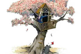 货币魔法树图片
