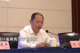 30秒｜四川：共建川渝自贸试验区协同开放示范区视频封面