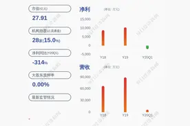 亏损！世纪瑞尔：预计2020年半年度净利润亏损2530万元图片