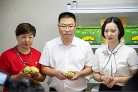 借力电商扶贫助农 云南红河举办首届鹰嘴蜜桃节图片