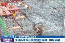 成都到自贡仅40分钟就到！2023年通车图片