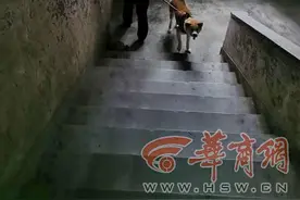 太扰民！西安一家属院楼道内有只无主犬 碑林警方依法收容图片