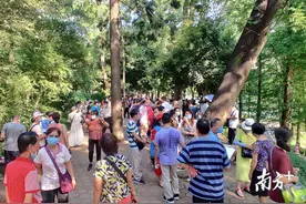 公园相亲角，那些为儿女婚姻操心的父母｜老有记图片