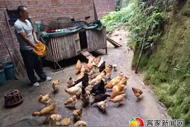 宋爱林：身残志坚不言输，创业脱贫闯富路图片