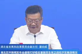 2.66万亿元！湖北放大招图片