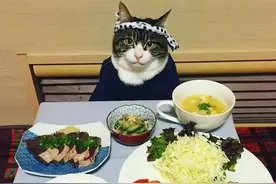 爆火日本瘦身神器！餐前吃2粒，大鱼大肉随便吃都不胖图片