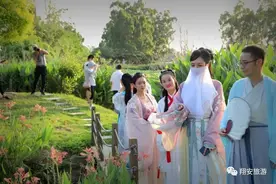 当荷花邂逅汉服，翔安这个地方美的自带仙气！图片