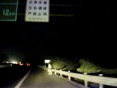 妻子被“甩”厦门高速路，情绪崩溃痛哭！竟是因为丈夫……图片