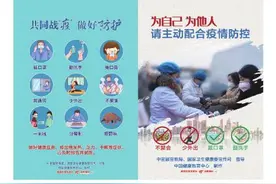 它世界第381期 陕西两种会飞的鸡 灰头麦鸡和凤头麦鸡虽带“麦”字 但麦田中可不容易见到图片