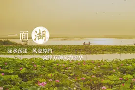 美景山东‖微山湖：昔日抗倭战场，今朝亚洲第一湿地图片