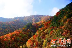 关于秦岭你知道多少？陕西最高处与最低处都在秦岭里图片