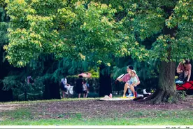 冬吃萝卜夏吃姜，不劳医生开药方！夏季是时候养阳了图片