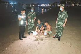 潜水盗采珊瑚，先藏房顶后弃海中图片