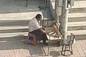 太有爱！大叔太阳底下陪狗狗输液，一直牵着它的手，网友：铁汉柔情图片