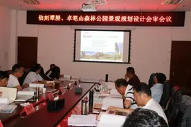 马龙区召开伯刻翠屏、卓笔山森林公园景观规划设计会审会议图片