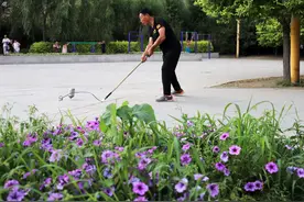 全民健身——乐享陀螺图片