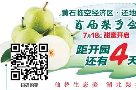 紧急通知！黄石城区多个公园闭园图片