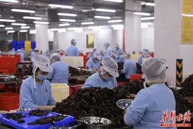 稳就业助脱贫 小槟榔奉献正能量图片