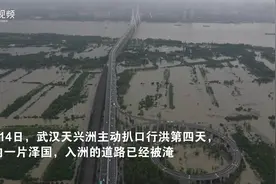 直击武汉洪灾｜航拍天兴洲一片泽国，18年来首次主动扒口行洪图片