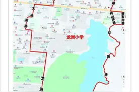 益阳市赫山区龙洲小学  2020年秋季一年级新生招生简章图片
