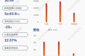 乐山电力：2020年上半年净利润9778.38万元，同比下降13.62%图片