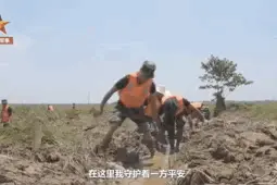 1998→2020，长大后我就成了你图片