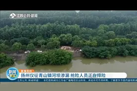 工作布防得当！扬州仪征青山镇河坝渗漏，抢险人员迅速排险视频封面